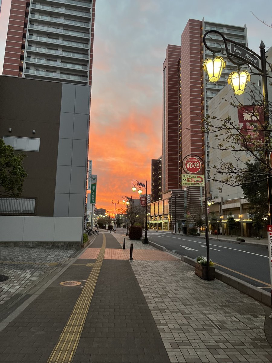 美雨 tweet media
