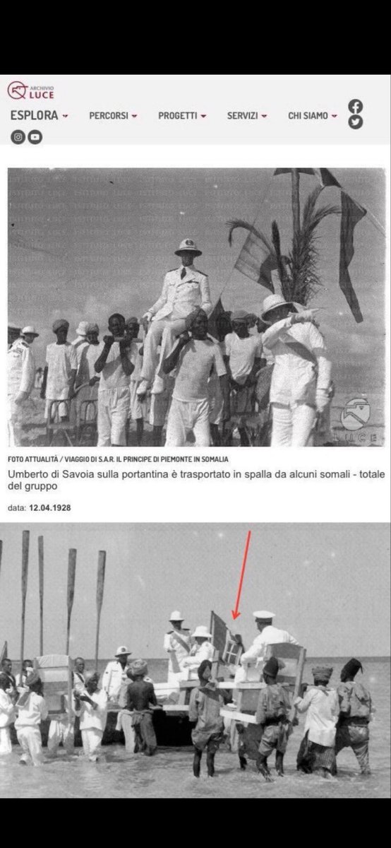 nelly🇨🇩🇺🇸 tweet media