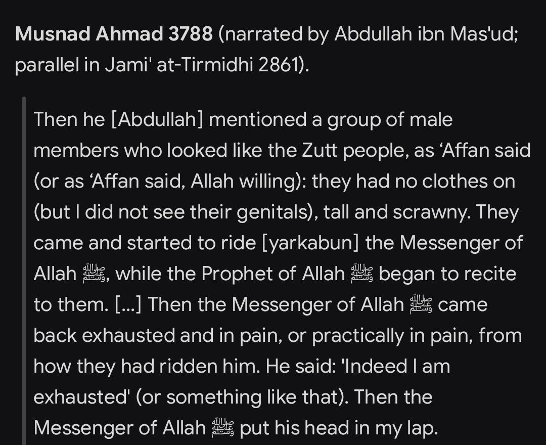 fishstix tweet media