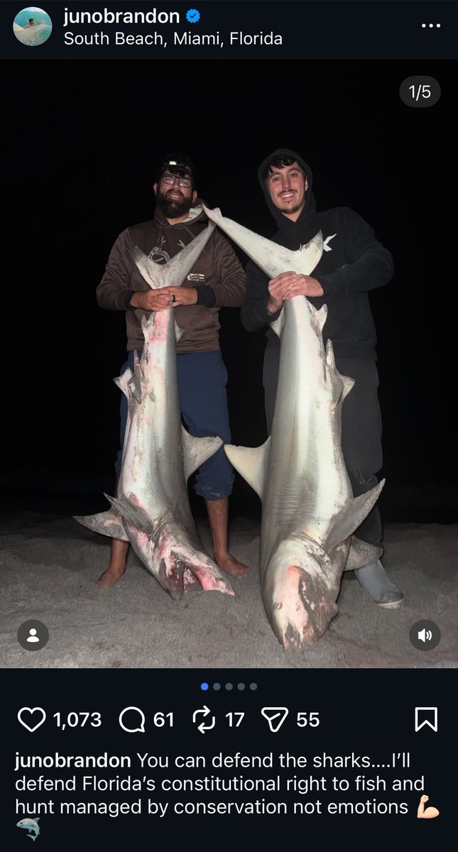 Unpop_Science's tweet photo. When we won our grassroots campaign to ban shark fishing in Miami Beach, these specific fishermen posted shark torture videos in retaliation.

They are not saving this shark. Quit falling for this bullshit. https://t.co/jN4hCzsPes