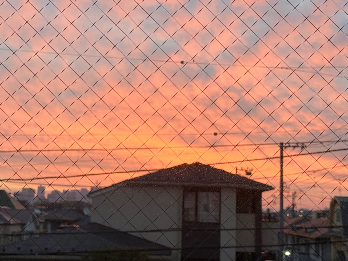 理一(りひと) tweet media