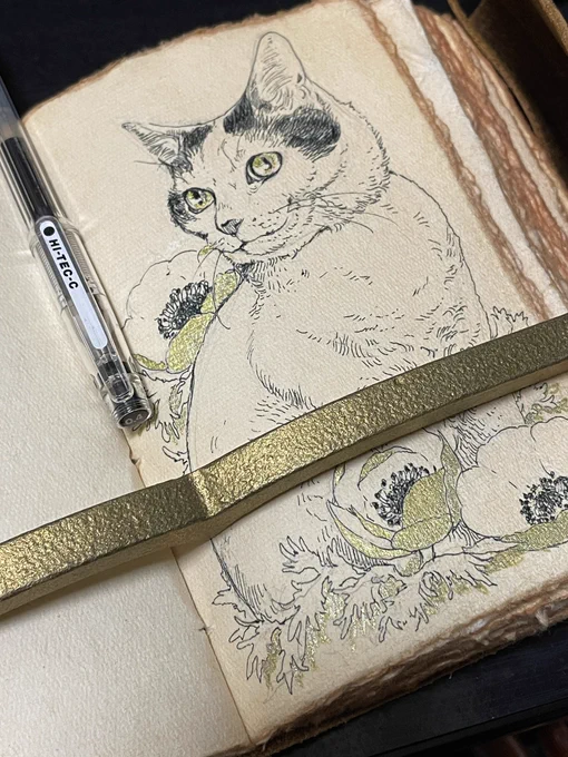 wip #アナログ #イラスト #ペン画 #illustration #ねこ