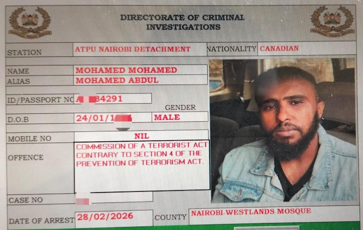 dahlia kurtz ✡︎ דליה קורץ tweet media