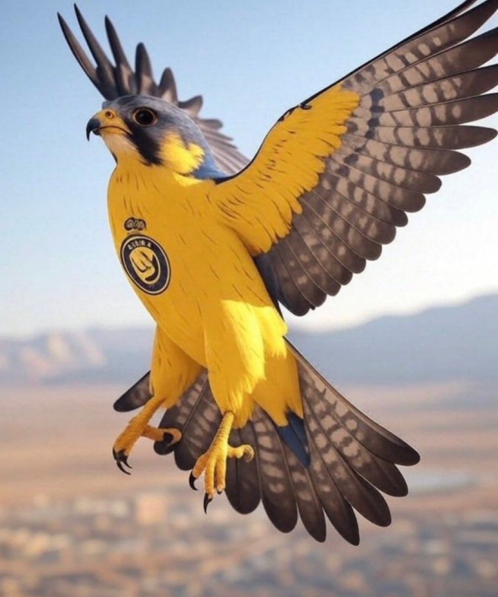 فارس القلم tweet media