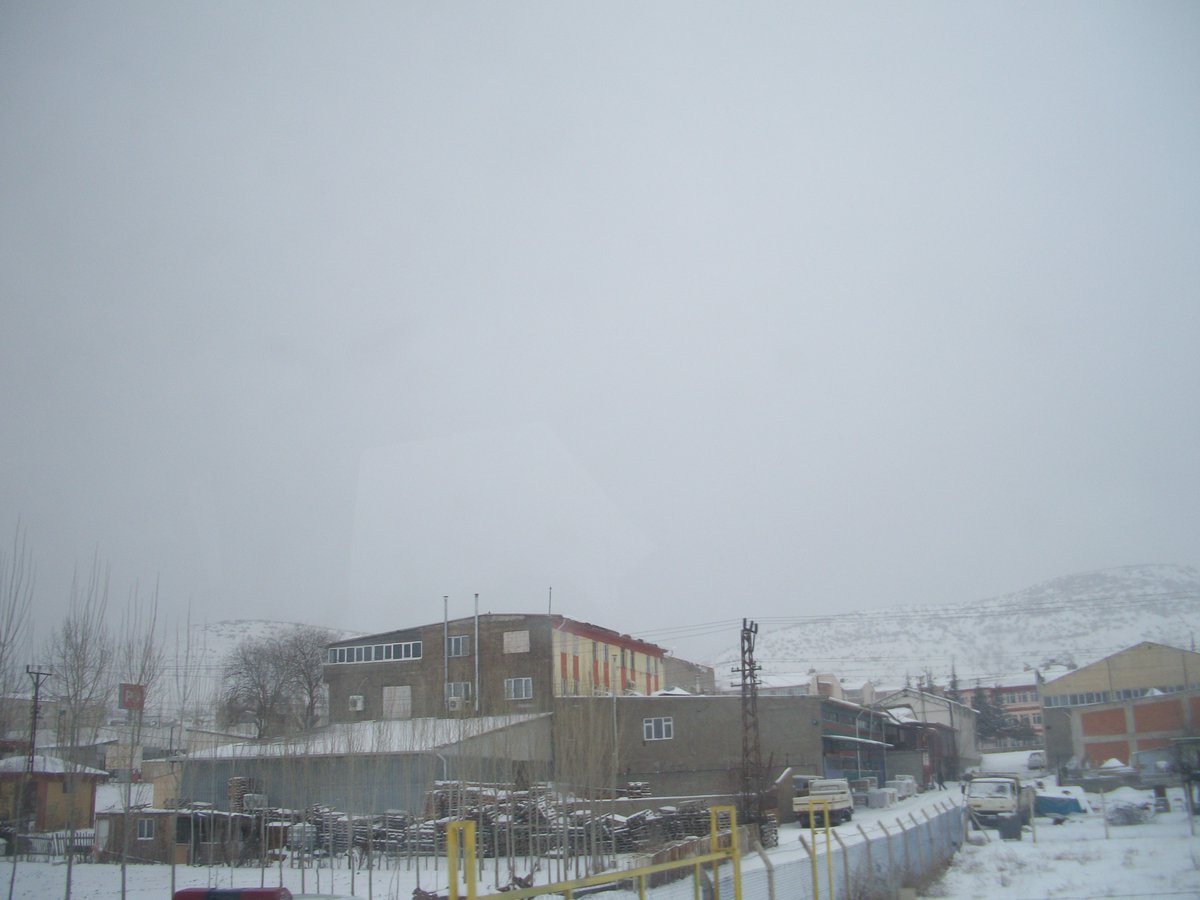 ahmet zekai tweet media