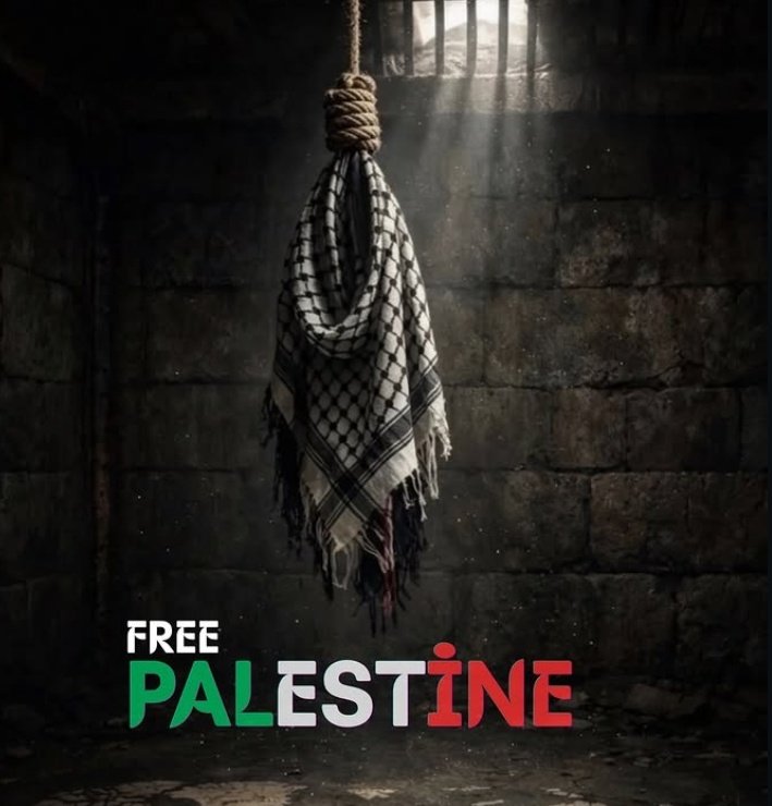 mustafa yazıcı tweet media