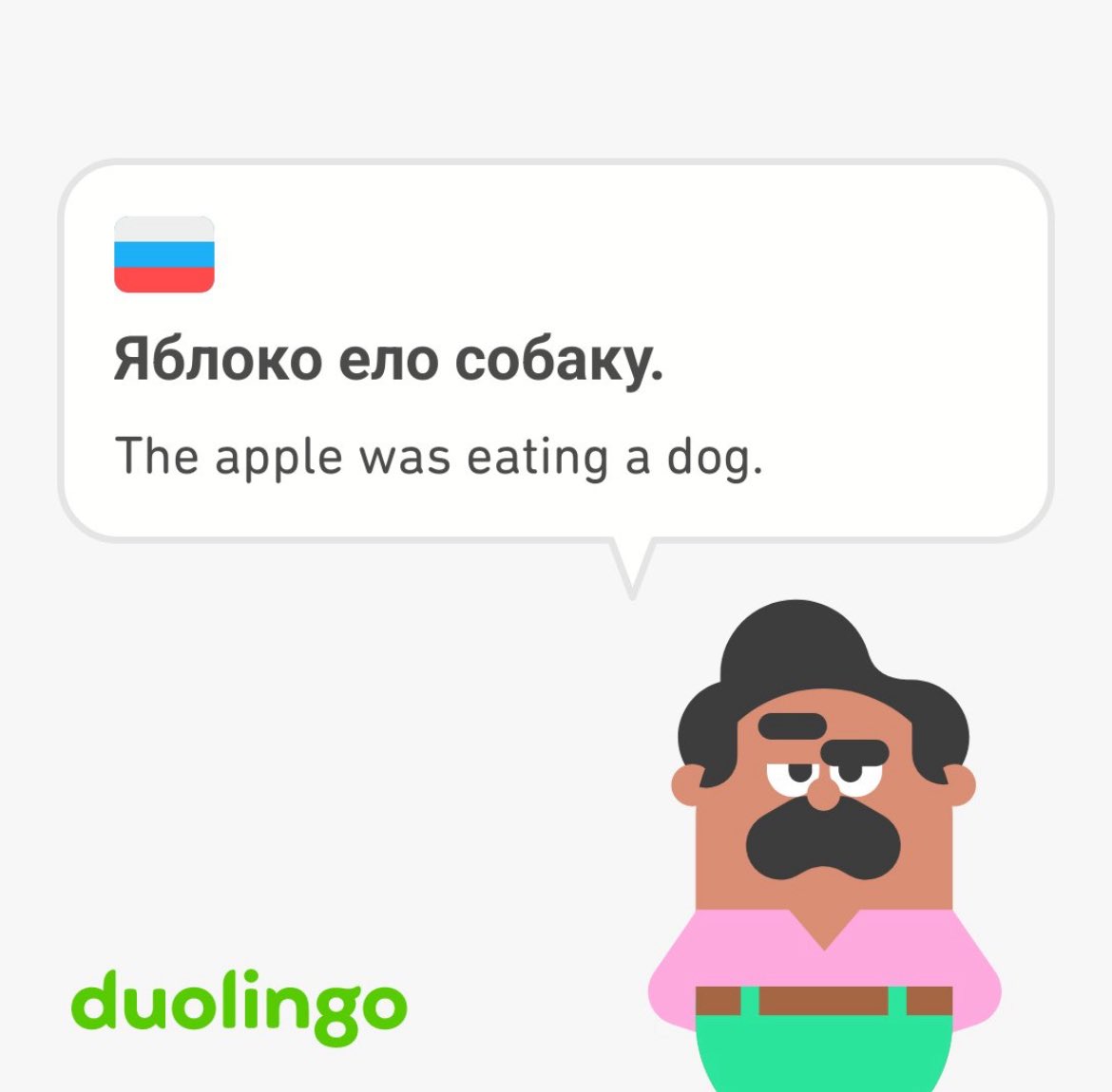 strange duolingo sentences tweet media