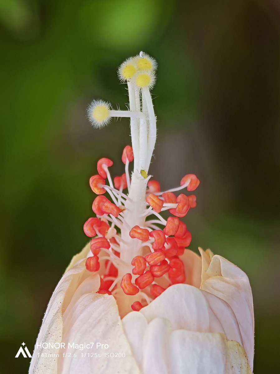 Saudi Magazine tweet media