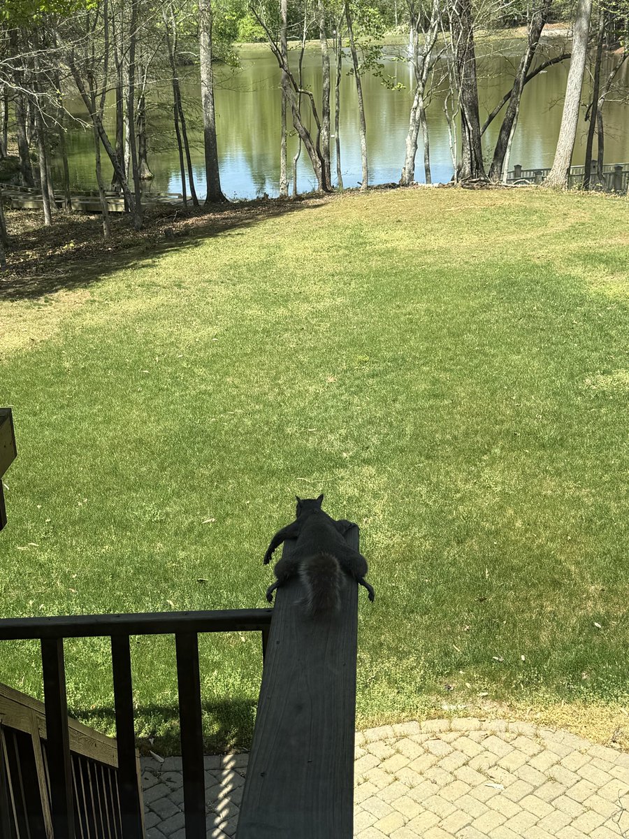 theTLCtickler's tweet image. Let ya nuts hang #thatfridayfeeling