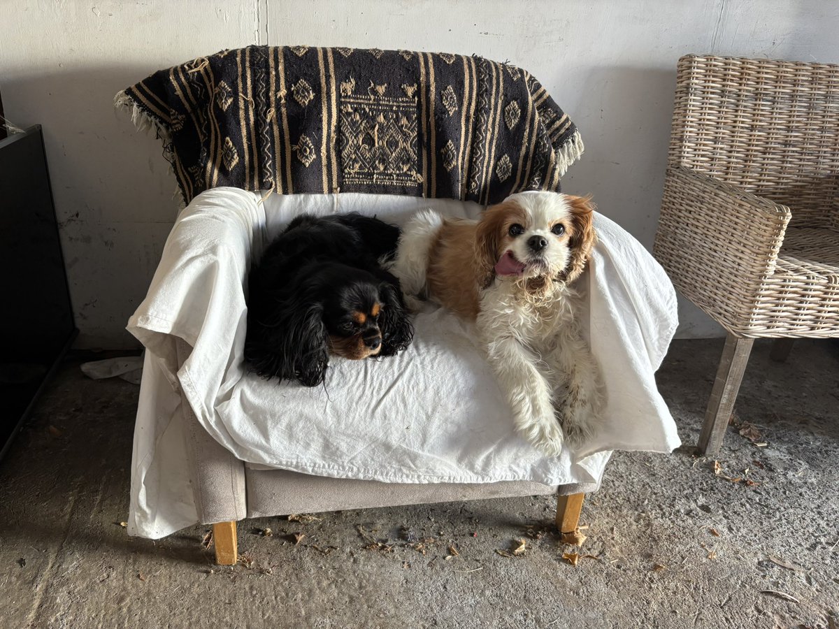 Florence tweet media