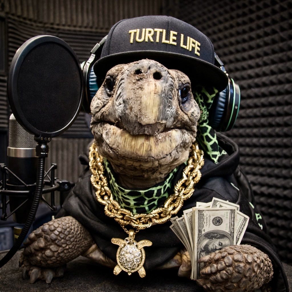 <a href="/LostMemeArchive/">Lost Internet</a> I need this Yodeling Kid on a track🔥🔥🔥