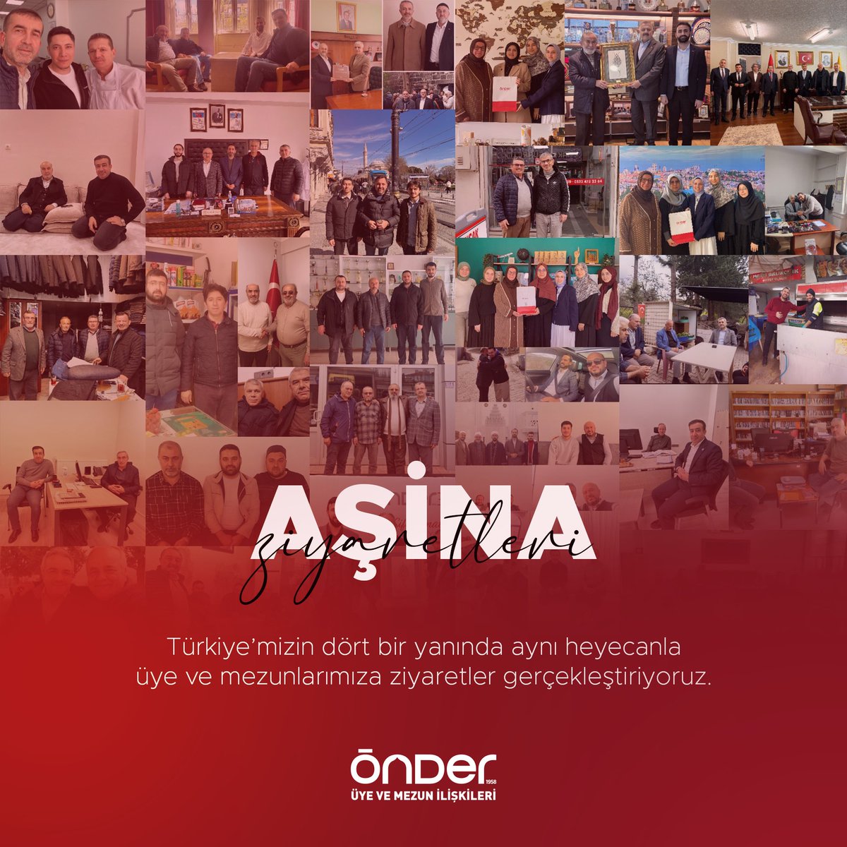 onderbulten tweet media