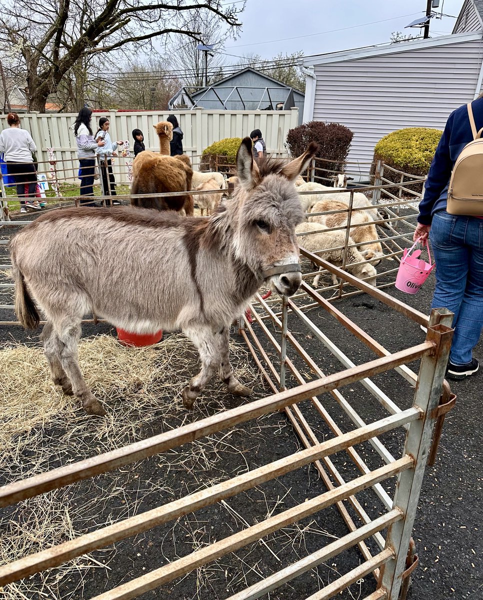 Magyar Bank tweet media