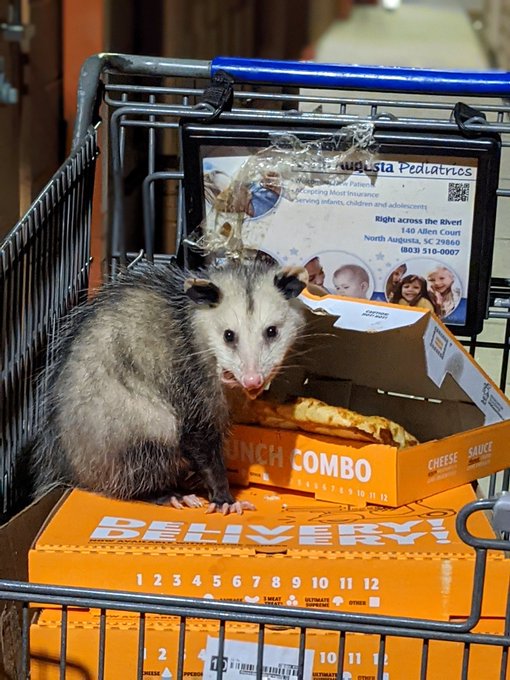 JamesBoone tweet media