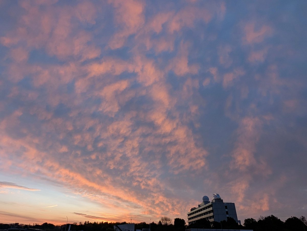 川瀬宏明 tweet media