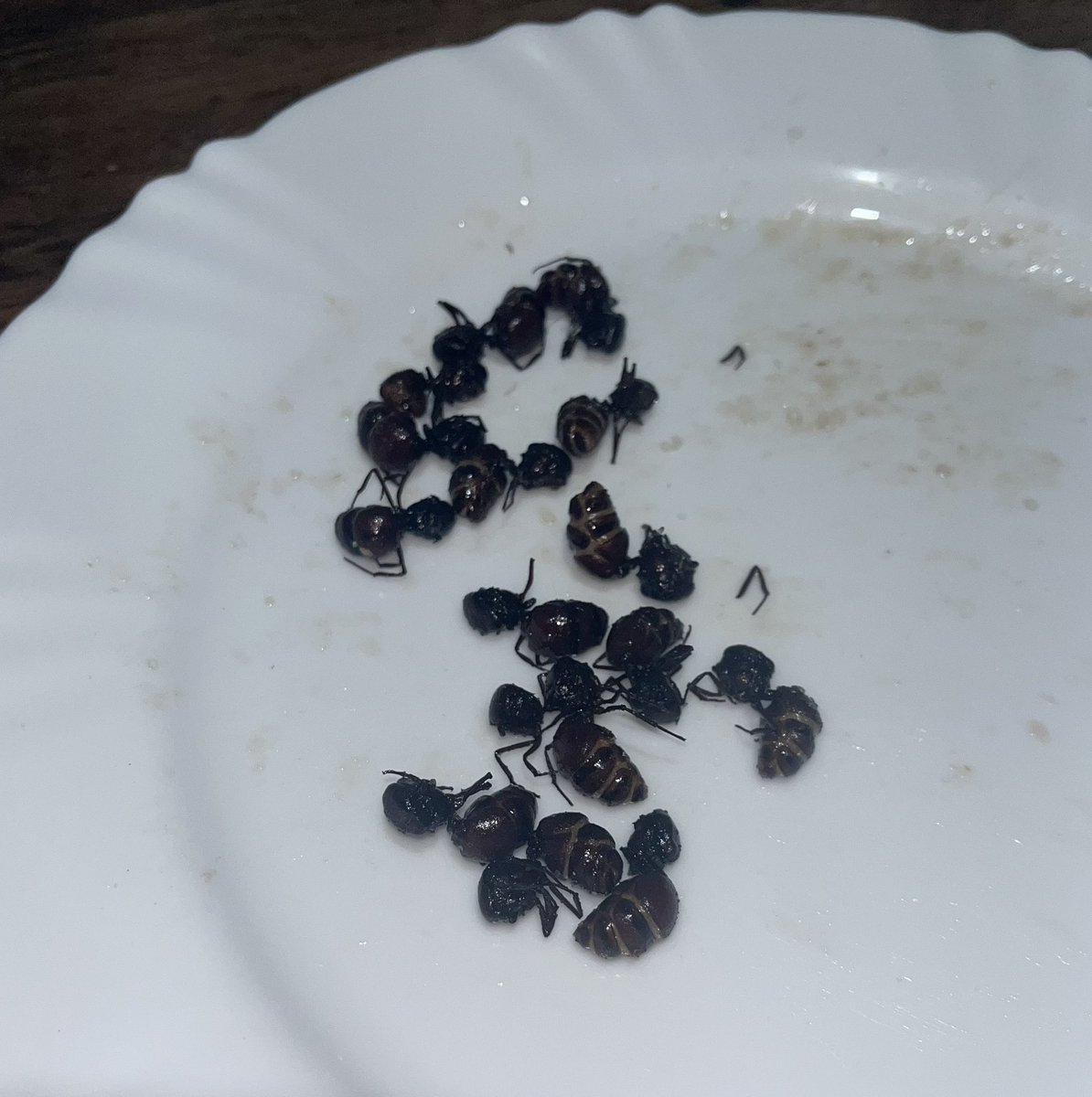 ⊹ ࣪ ˖tricee𑁤.ᐟ | We on fire tweet media