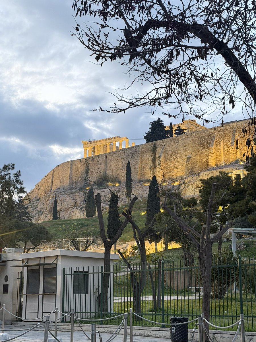 Balln Coach 🔺 🏀 tweet media