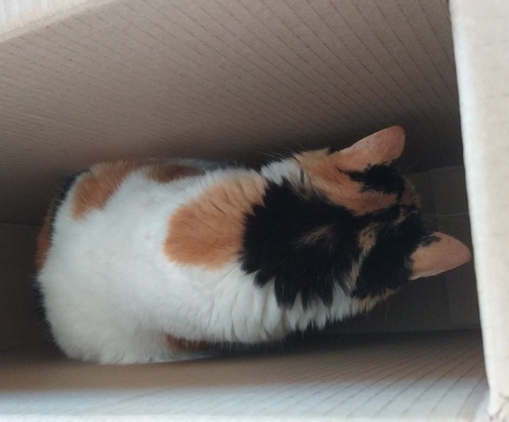 El Club de las 4 AM tweet media