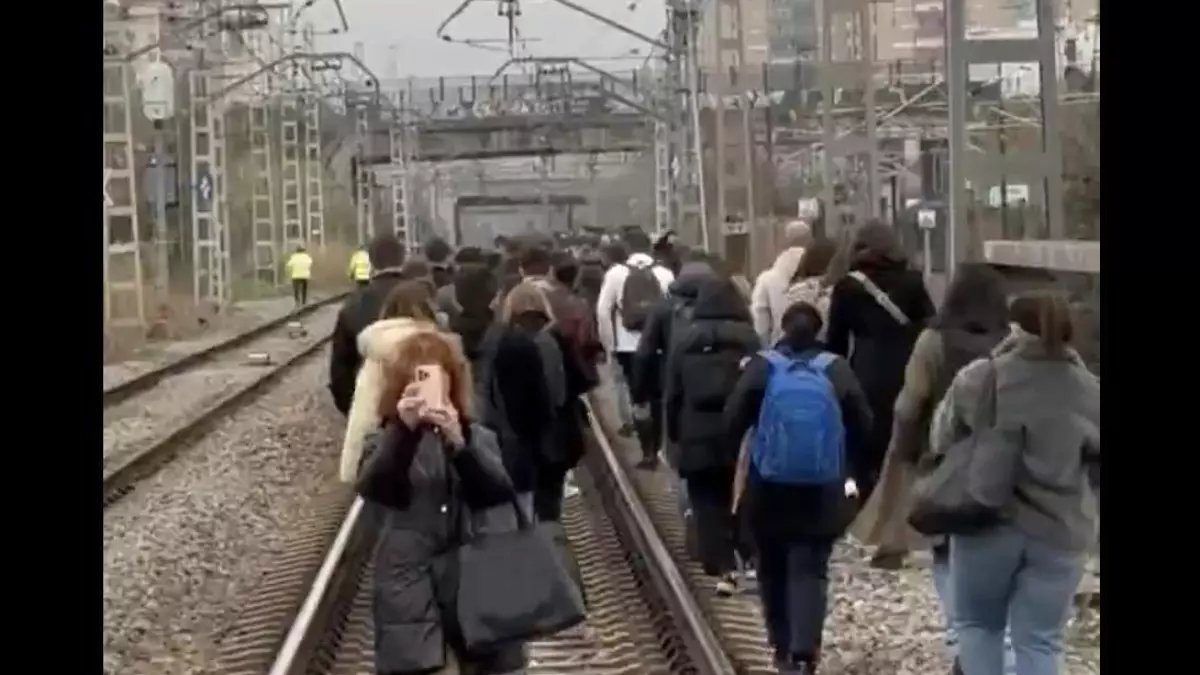 El Constitucional tweet media