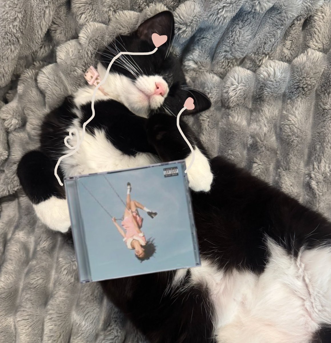 Amanda 🩷ᴼᴿ³ tweet media