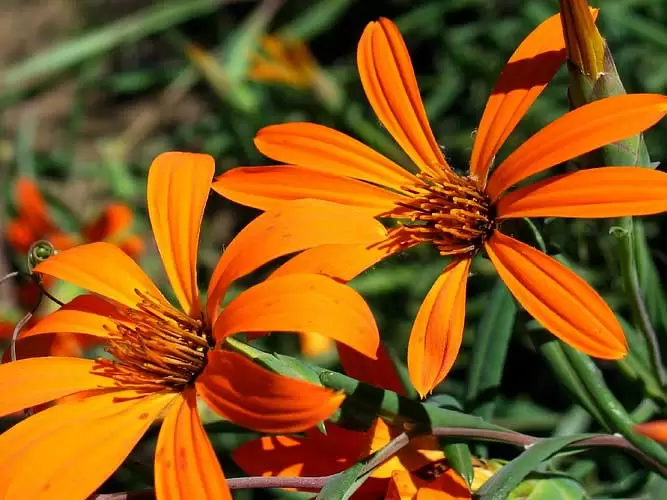 Anicka ▪︎ 🇦🇷 tweet media