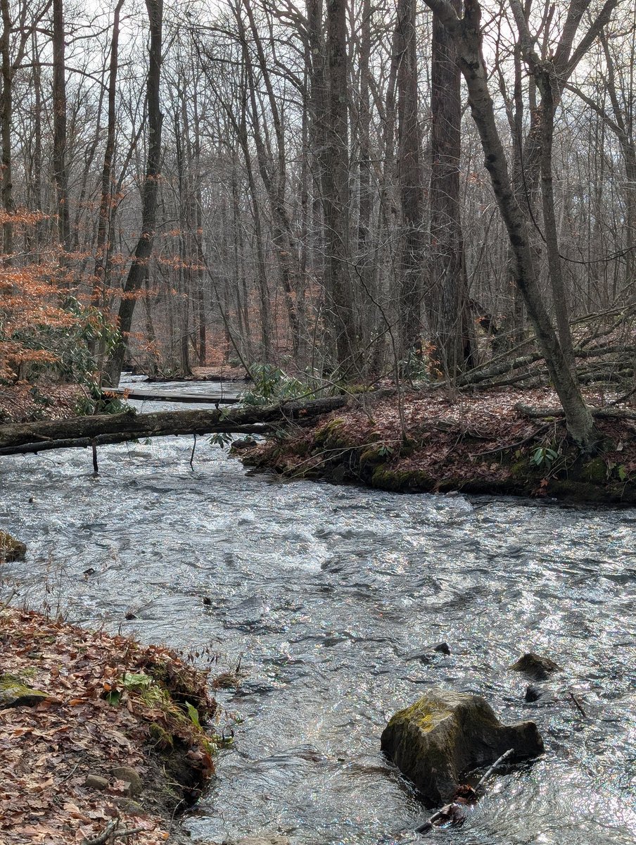 Reasonable Man 🇺🇸 tweet media