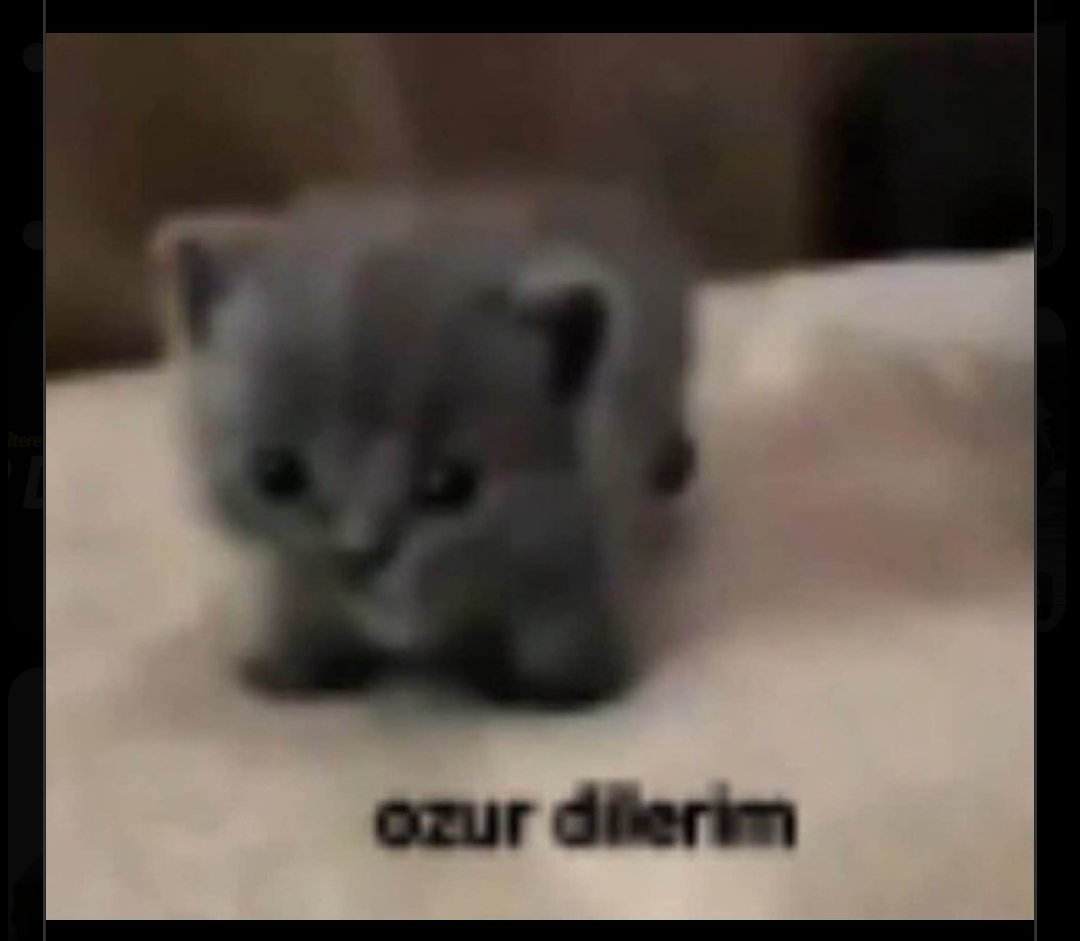 Radamert🇩🇪 tweet media