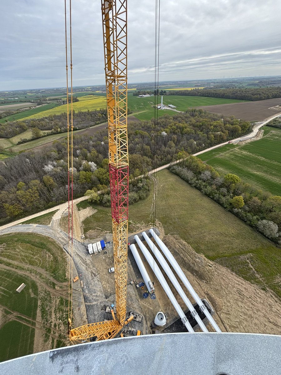 Alejandro Alvarez 🇪🇸 tweet media