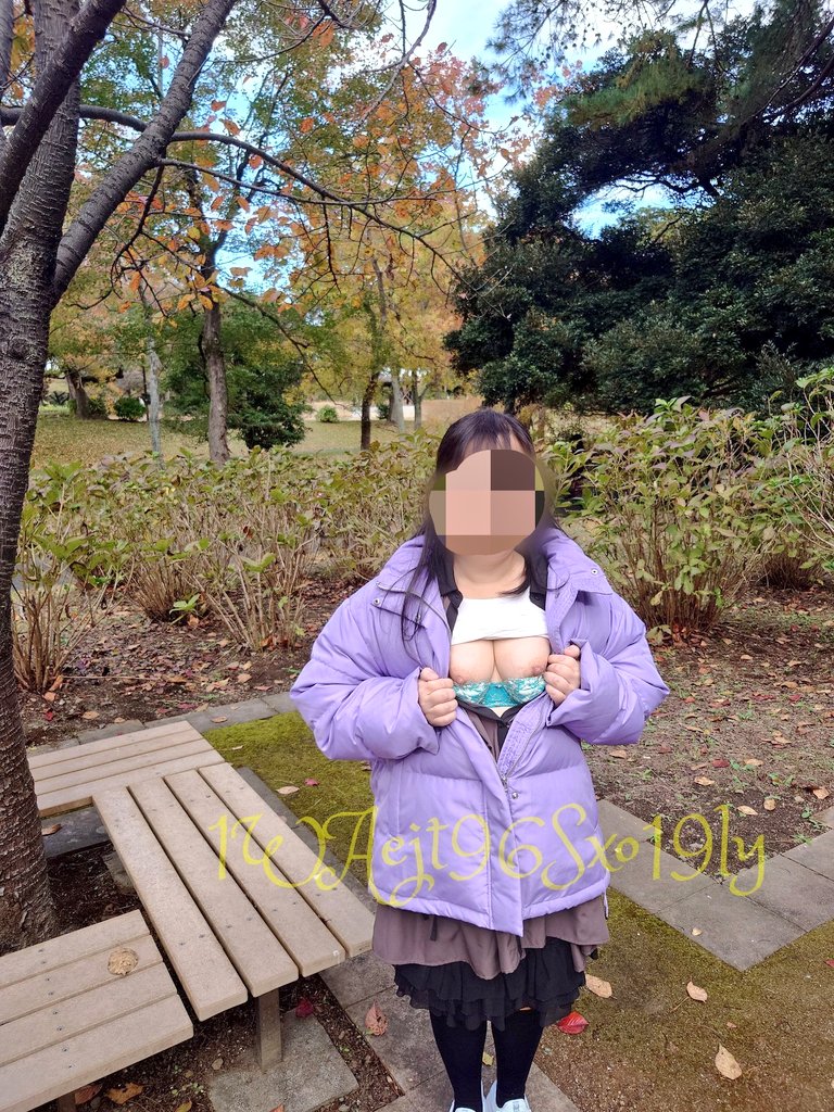 トレーナー＠お散歩系 tweet media