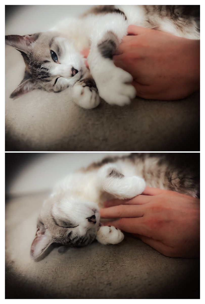 伊藤英紀/hideki ito/atemnaut tweet media