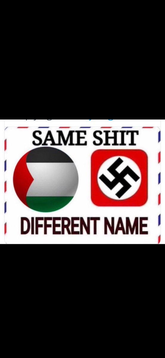 bugs 🐰 tweet media