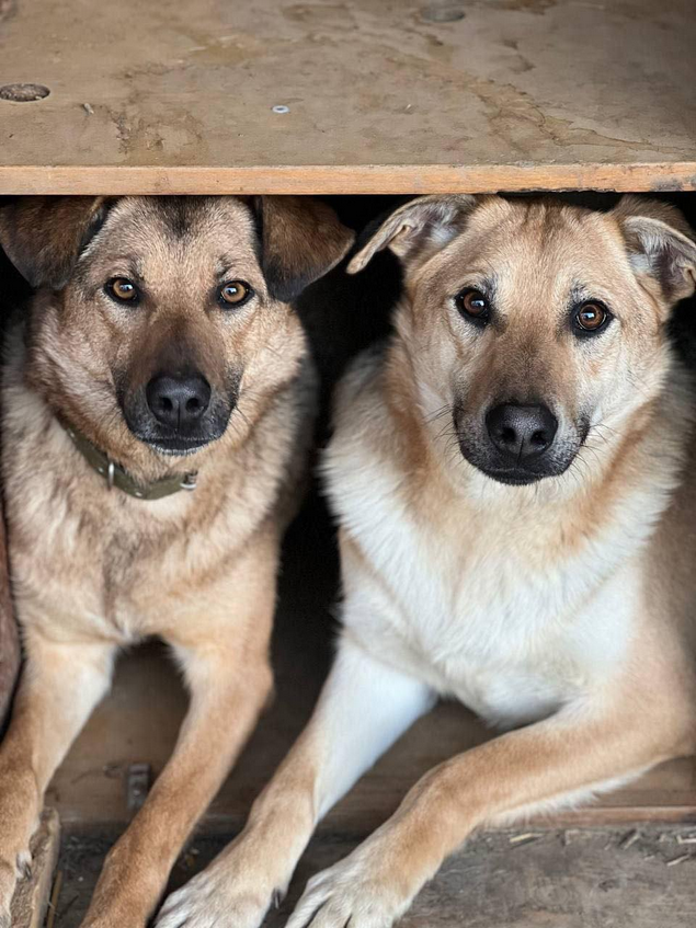 Тата tweet media