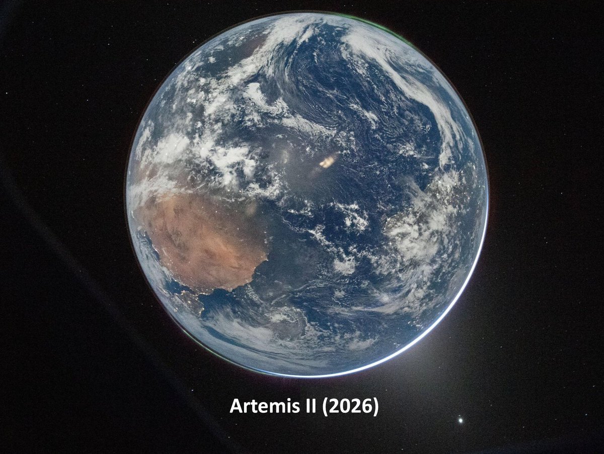 Comunidad Biológica tweet media