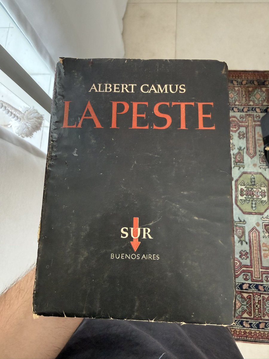 fran curien tweet media