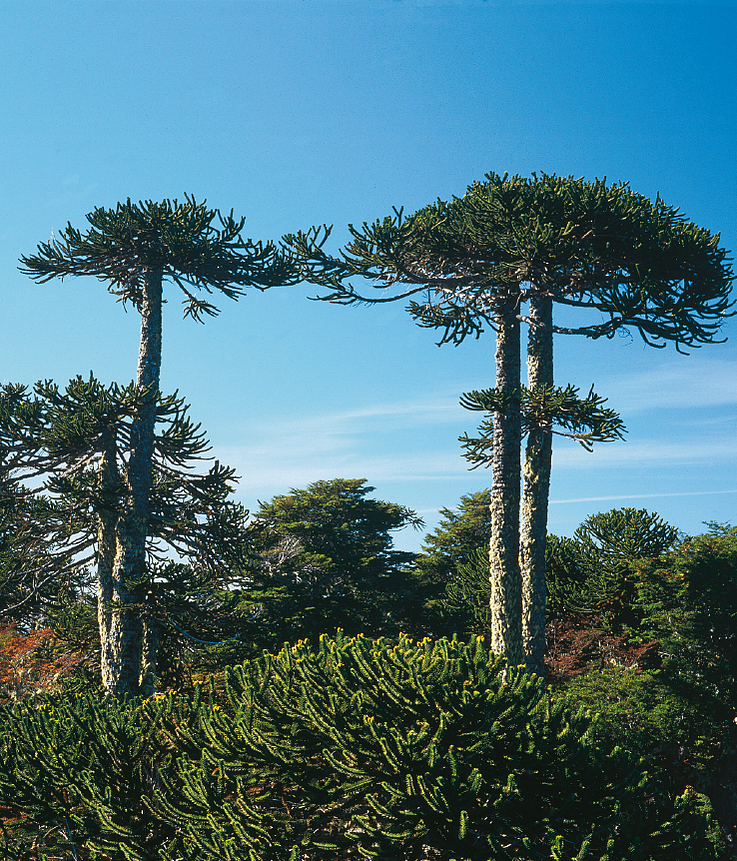 Anicka ▪︎ 🇦🇷 tweet media