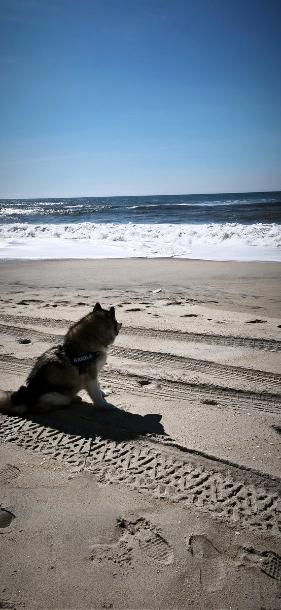 Sandra.💀 tweet media