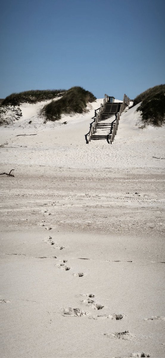 Sandra.💀 tweet media