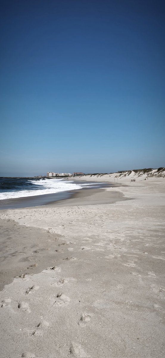 Sandra.💀 tweet media