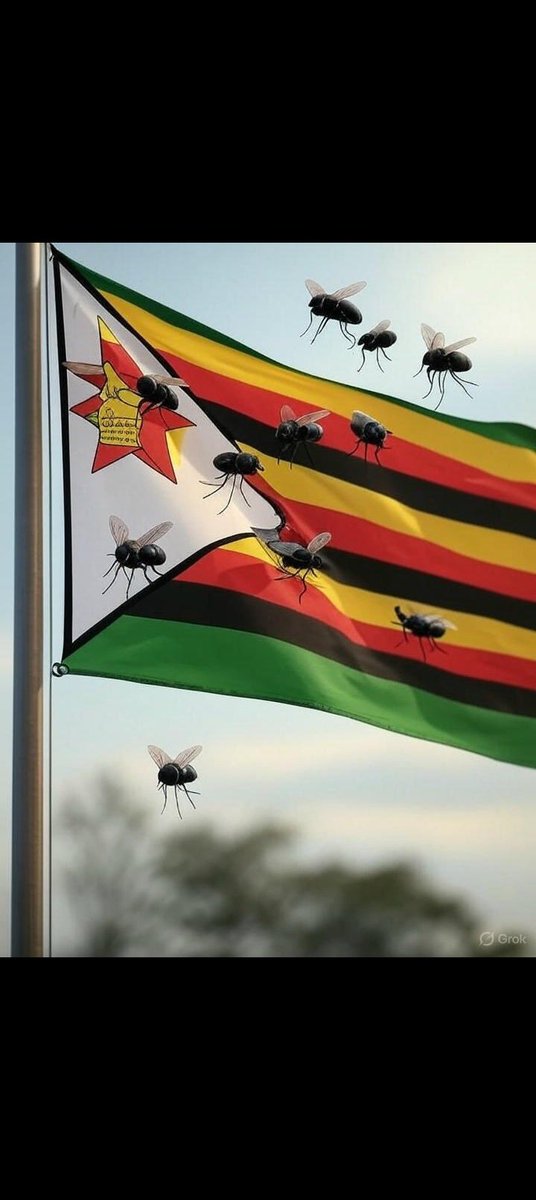 Eryckdee tweet media