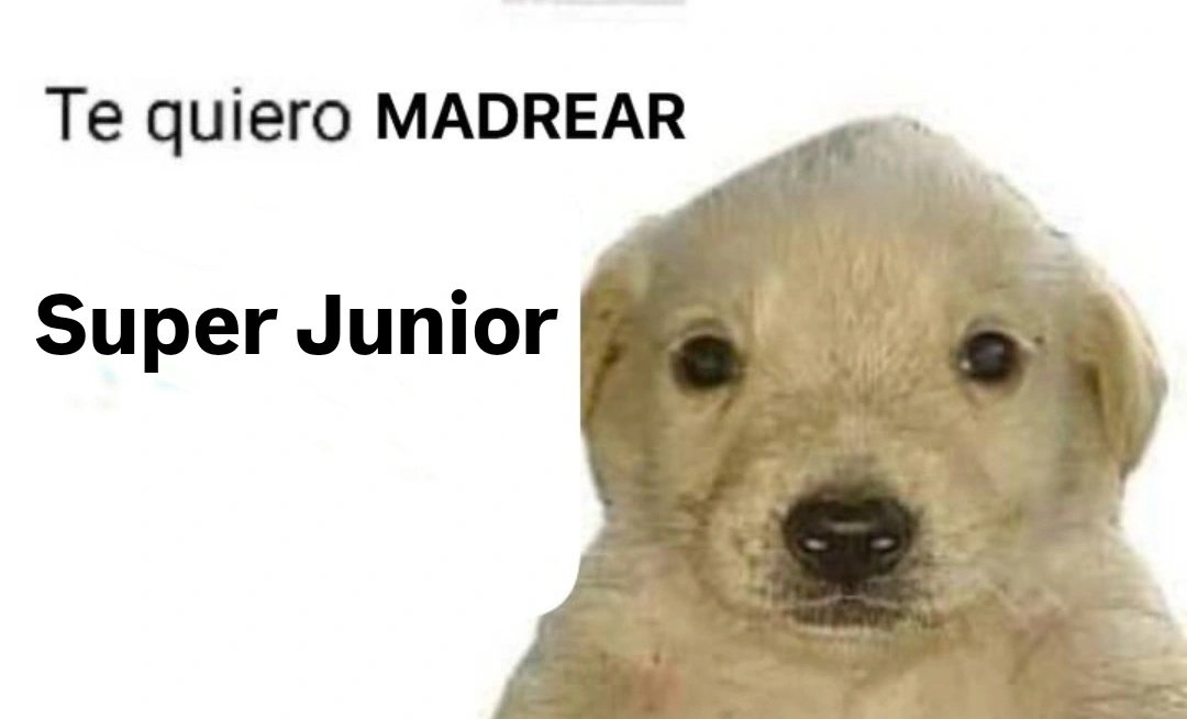 JSA ✨️ tweet media