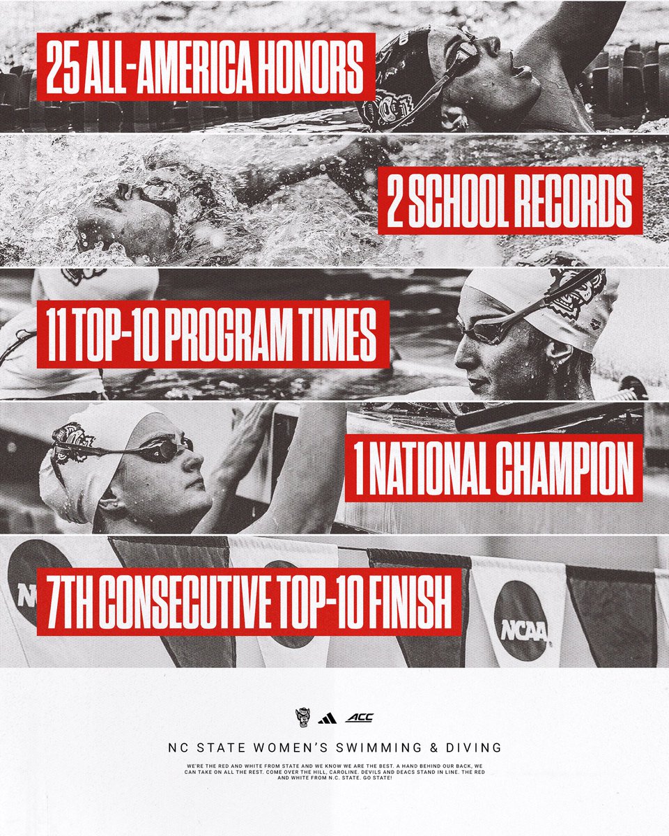 NC State Swimming & Diving tweet media