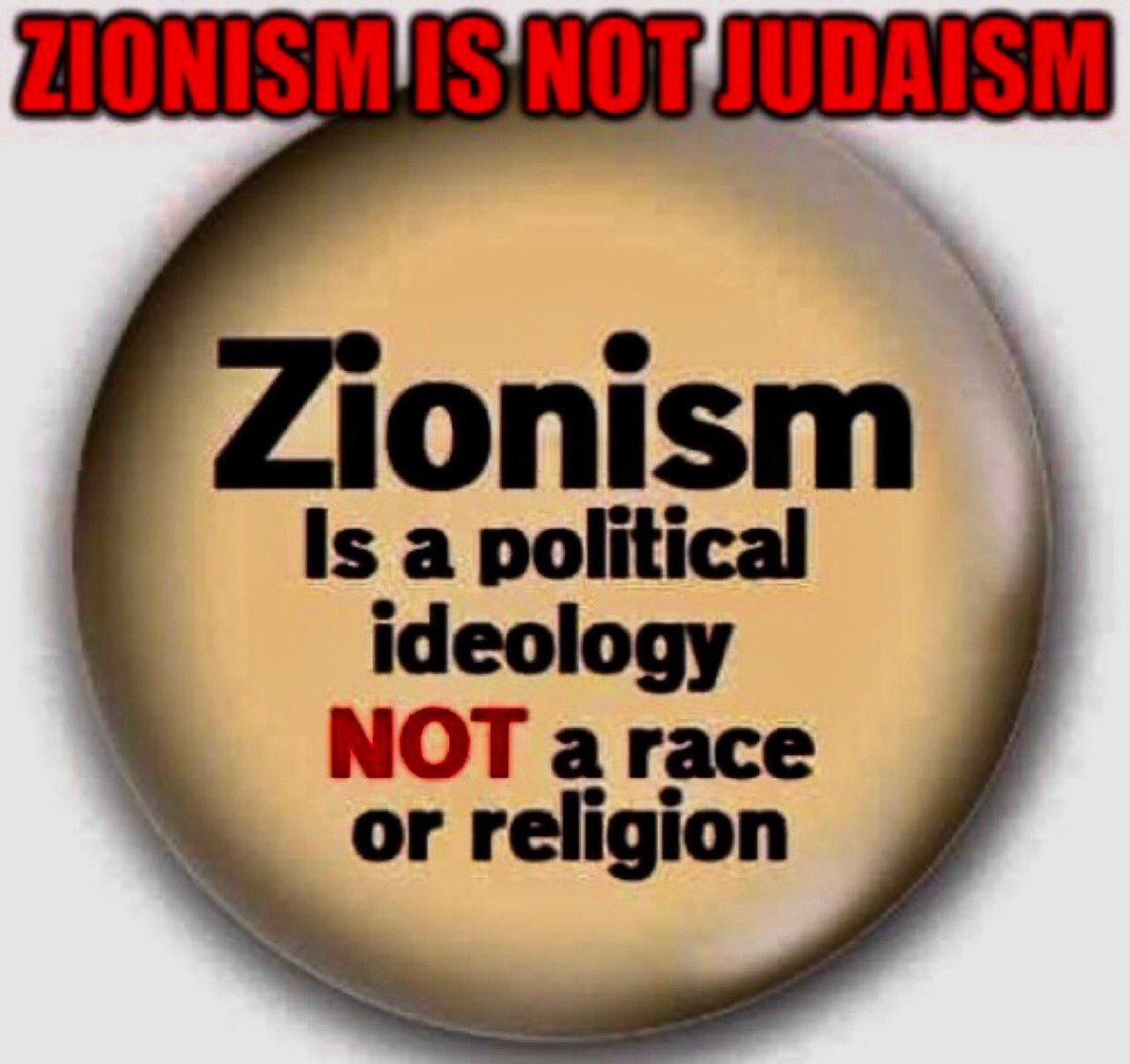 Coco the Canadian Socialist Rat🇨🇦 🇨🇦 tweet media