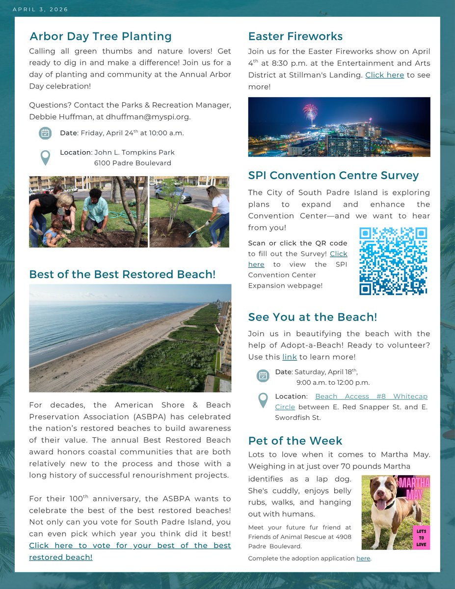City of South Padre Island tweet media