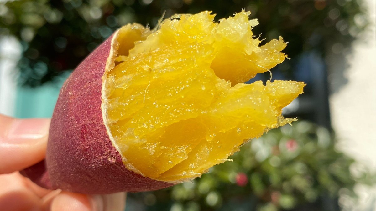 さわやかのサツマイモ🍠 tweet media