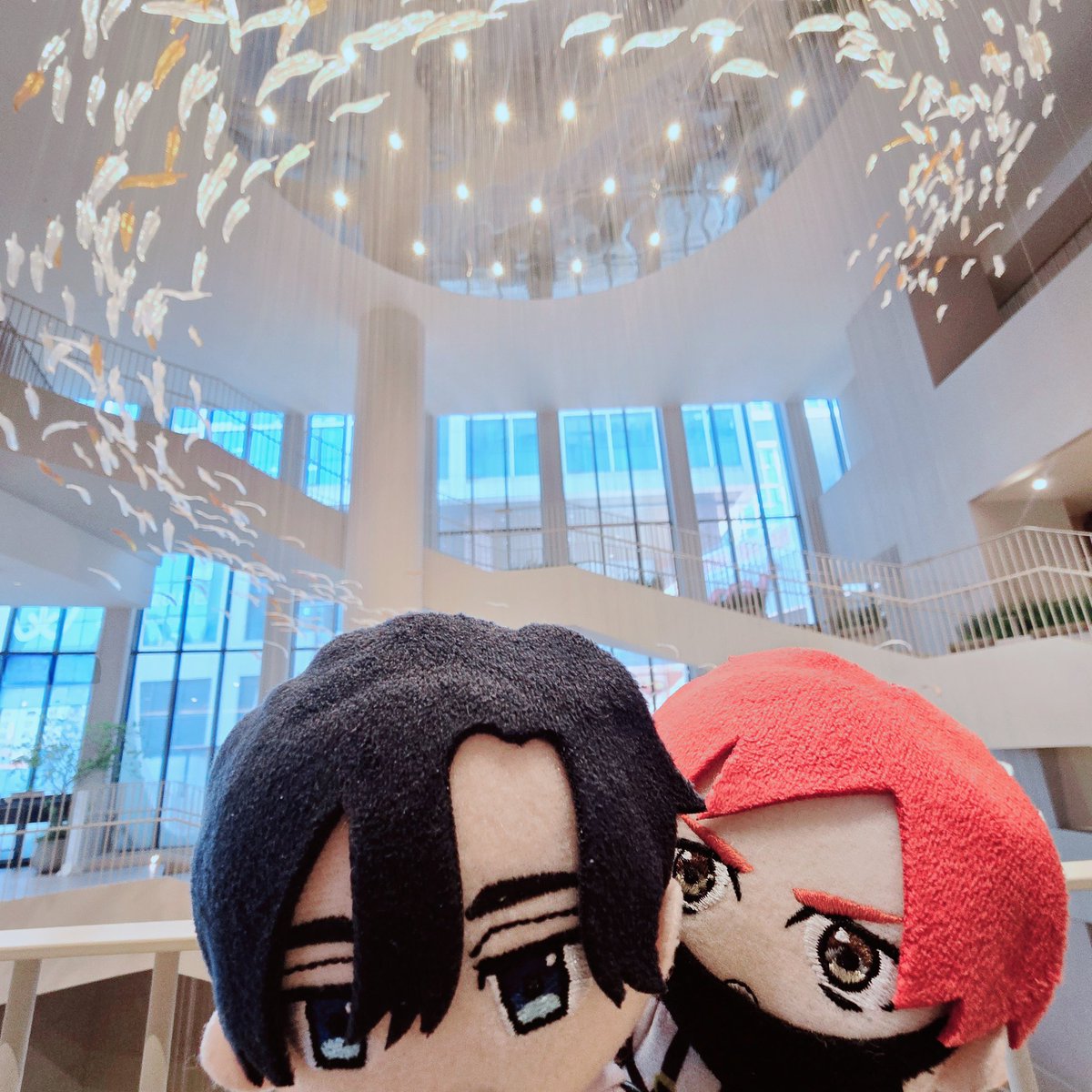 S2_KAMI003's tweet photo. #カジョシ #ふふた https://t.co/qk93nTfT9k
