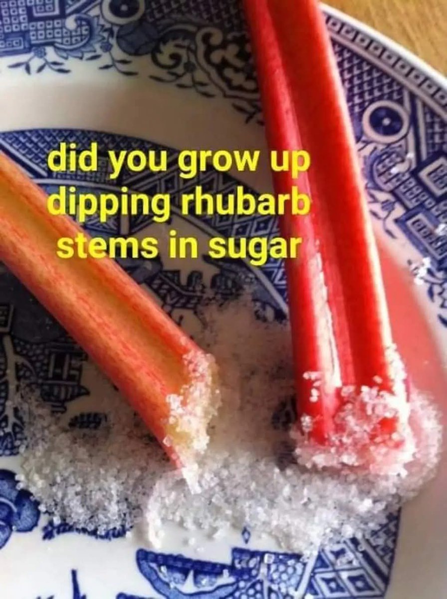 Nimra Shahzadi ❣️ tweet media