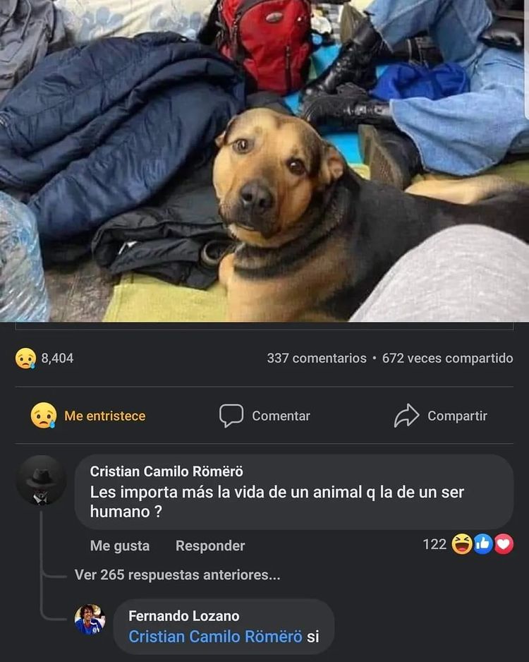 Alejo tweet media