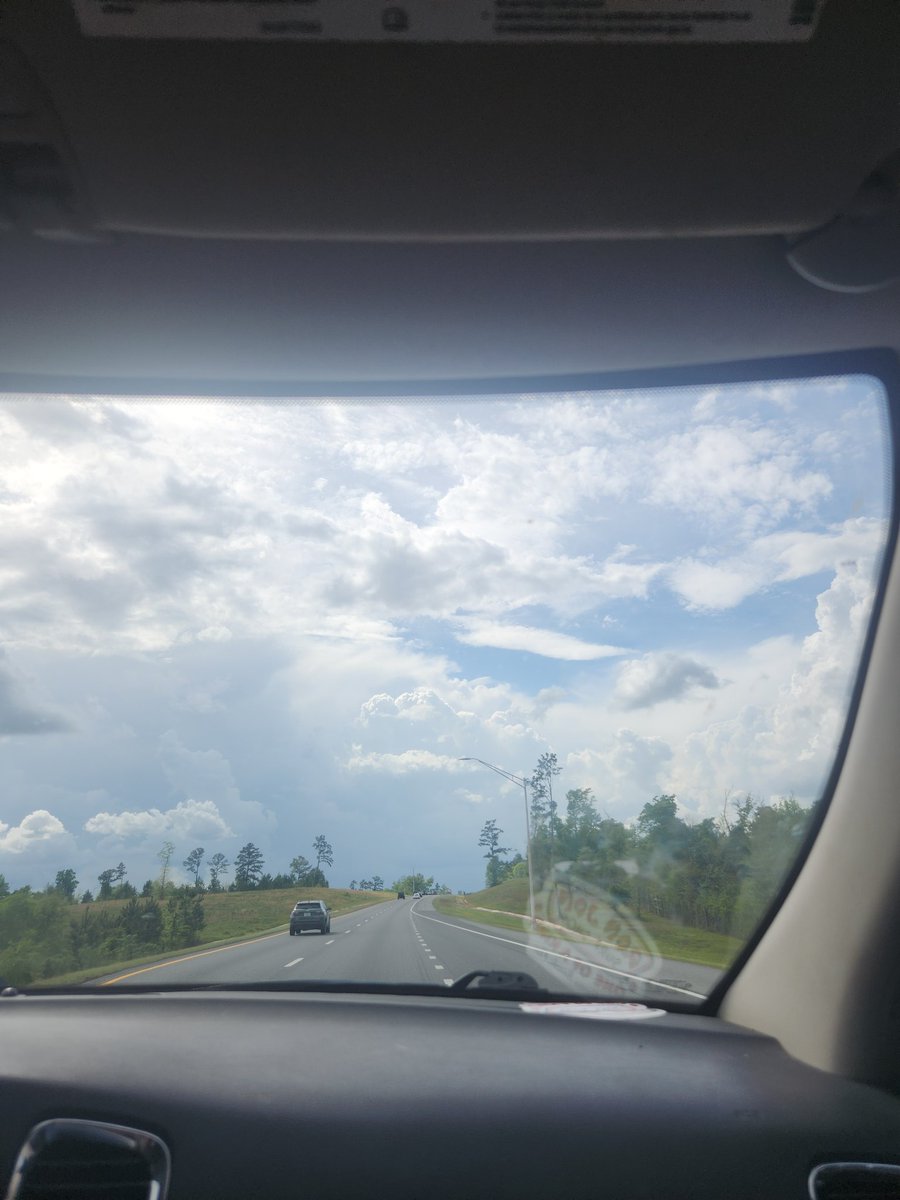 eccorca 🐬 tweet media