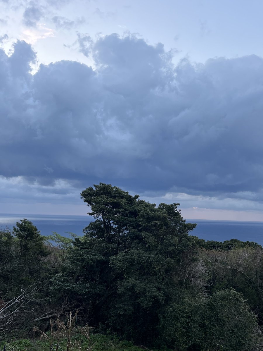 🌸同感🌸 tweet media