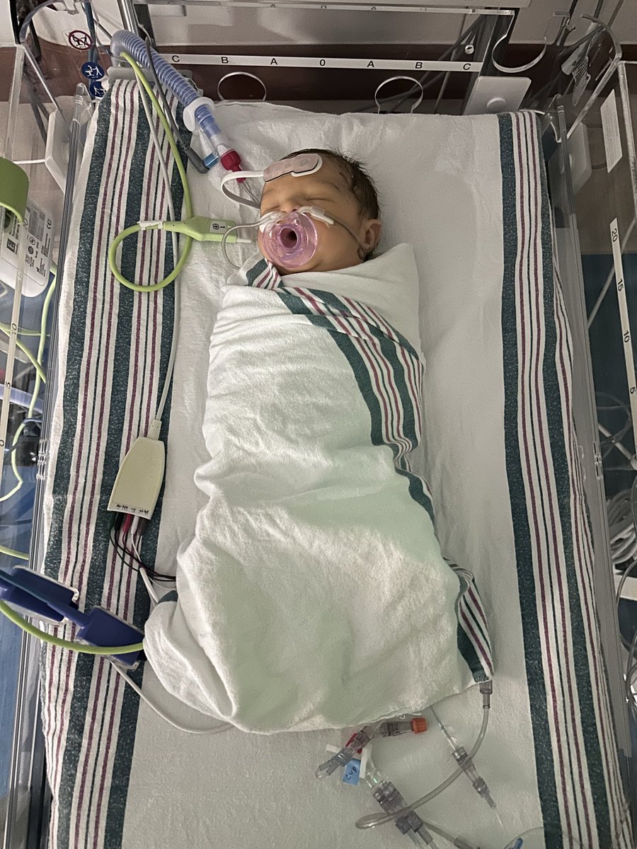 Alex Cruz tweet media